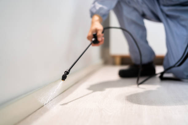 Licensed Fumigation Services service in New Madison, OH - Nex Pest Control
