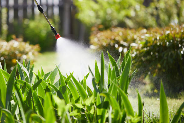 24/7 Emergency Fumigation Services experts in New Madison, OH